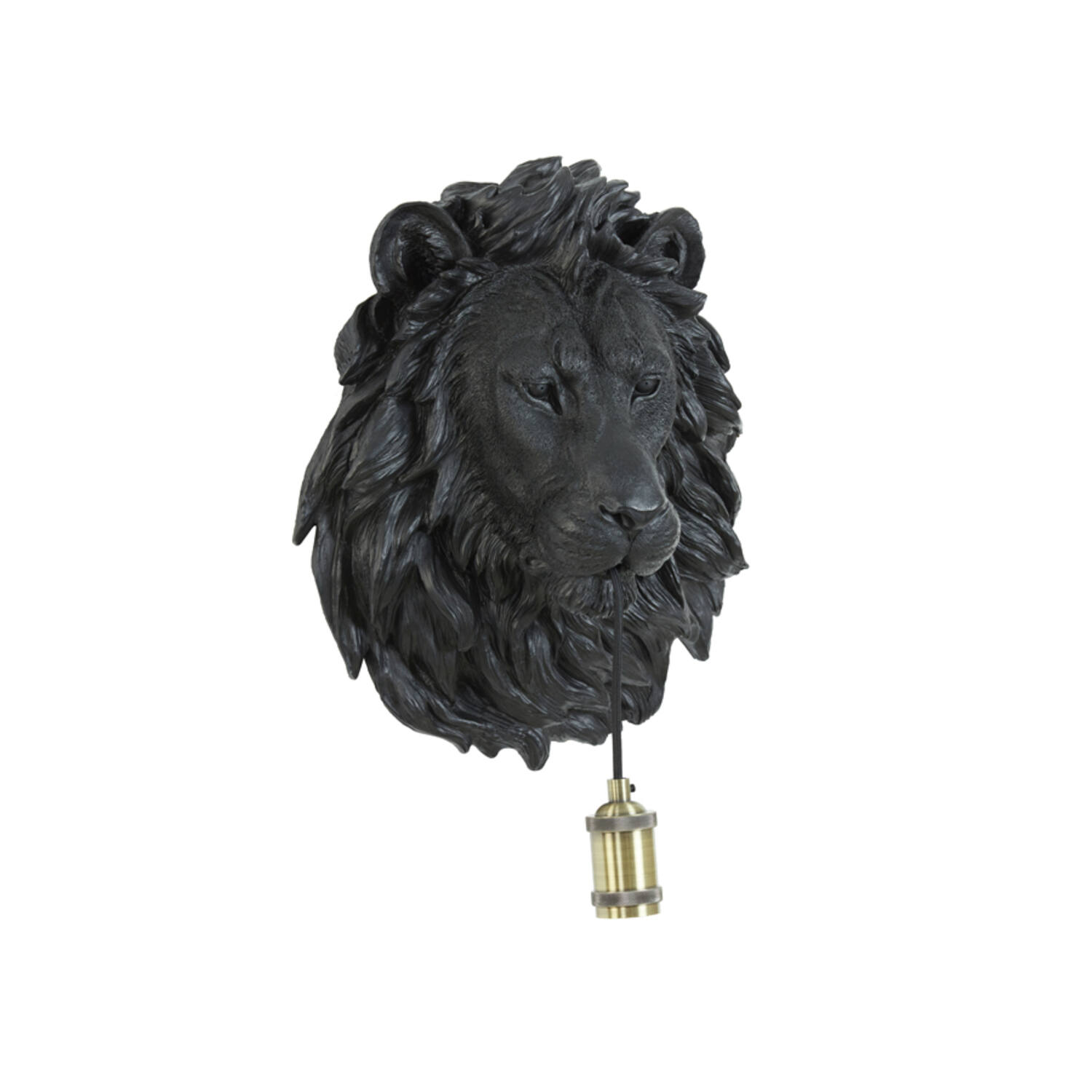 Wall lamp 33,5x19x40,5 cm LION matt black