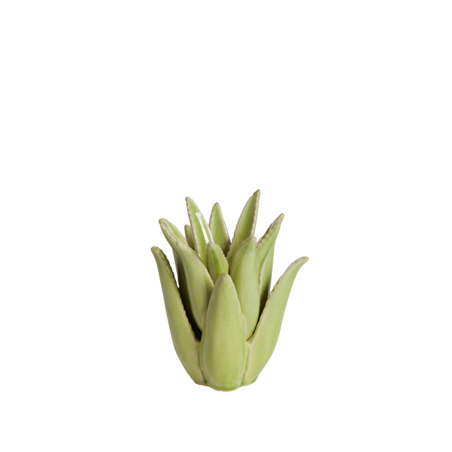 Candle holder Ø13x16 cm CACTUS ceramics light green