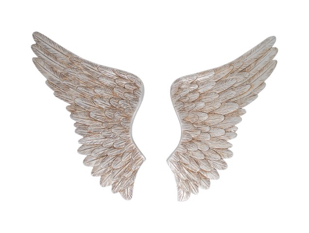 Wall ornament 98,5x5x40,5 cm SWAN WINGS silver