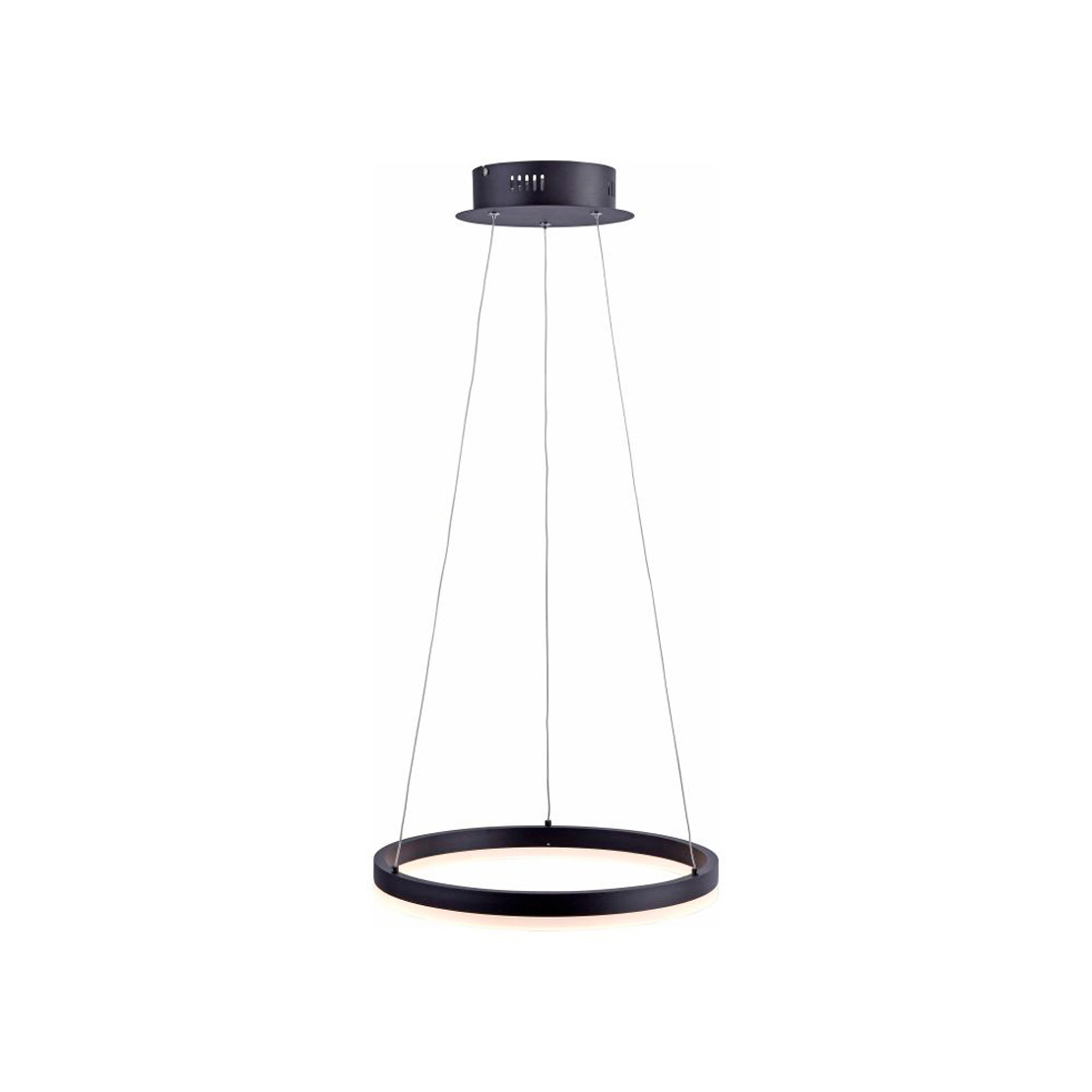 Paul Neuhaus TITUS LED - Riippuvalaisin -  Ø:45,0 cm - 1x28W - Antrasiitti 