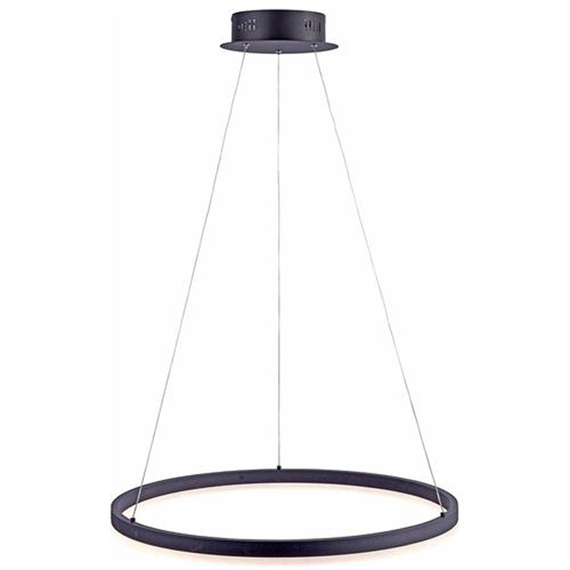 Paul Neuhaus TITUS LED - Pendant lamp -  Ø:60,0 cm - 1x38W - Anthrasite 