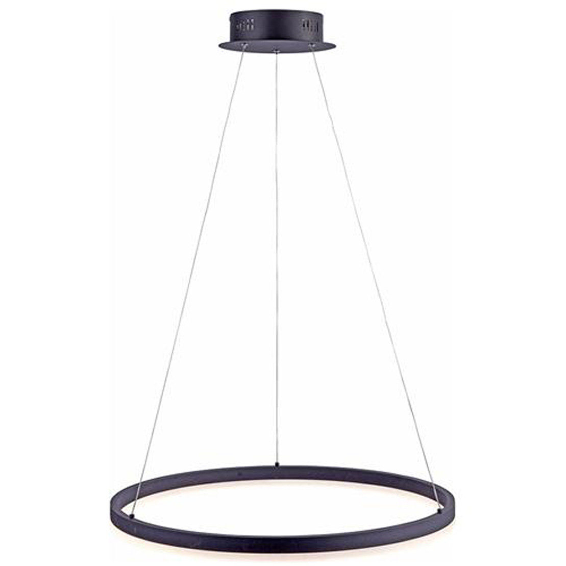 Paul Neuhaus TITUS LED - Riippuvalaisin -  Ø:60,0 cm - 1x38W - Antrasiitti 