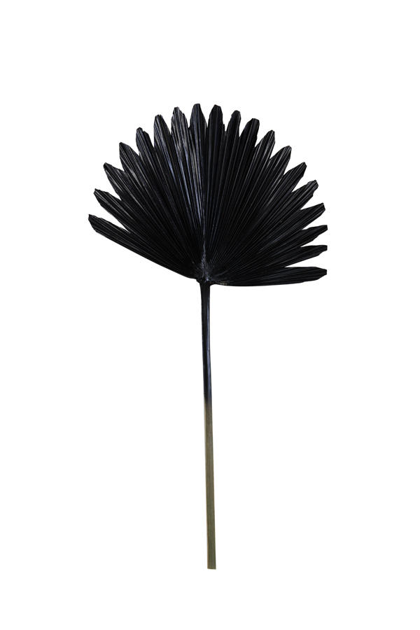Ornament 40x78 cm PLANTAE black