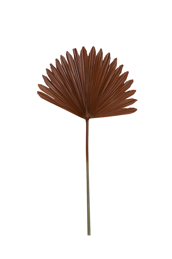 Ornament 40x78 cm PLANTAE cognac brown