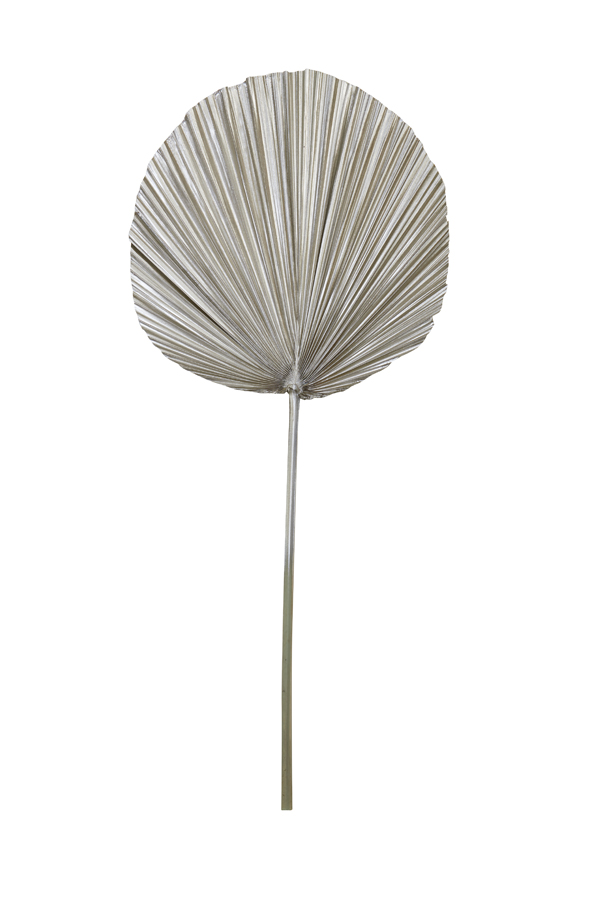 Ornament 39x87 cm PLANTAE light gold