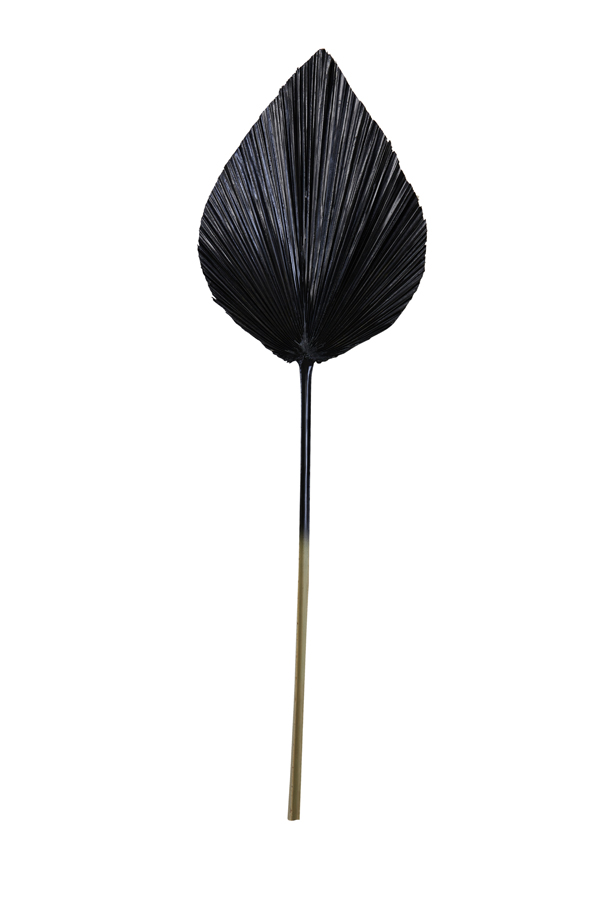 Ornament 27x90 cm PLANTAE black