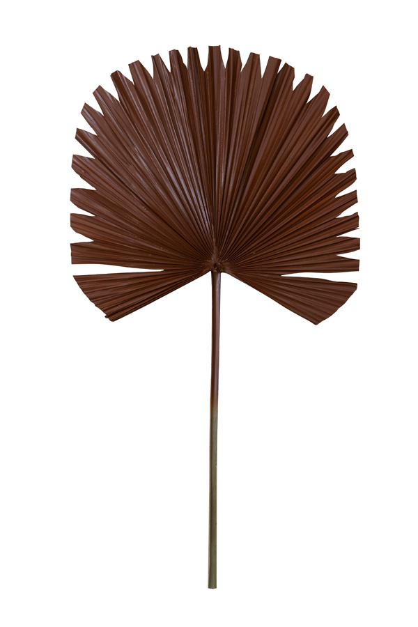 Ornament 50x91 cm PLANTAE cognac brown