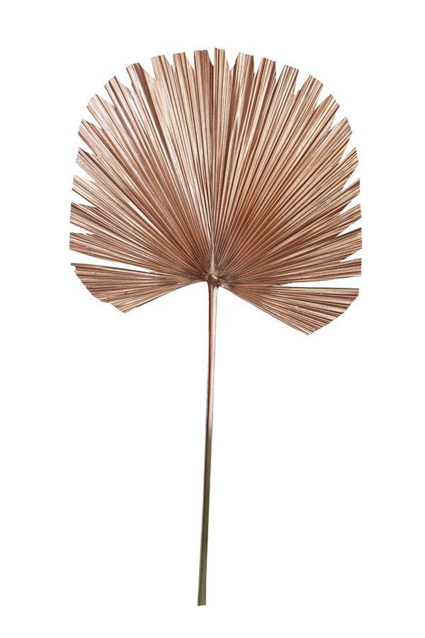 Ornament 50x91 cm PLANTAE copper metallic