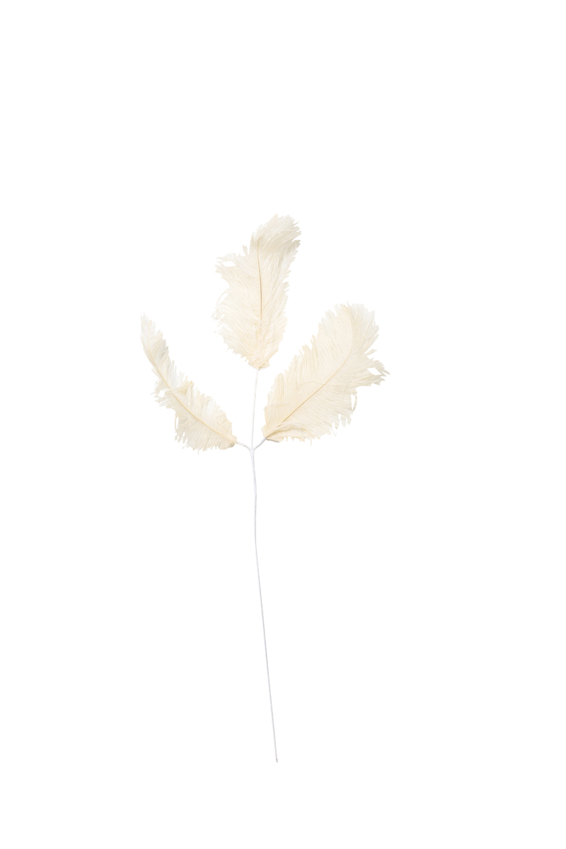 Ornament 3 feathers 30x59 cm FEATHER cream