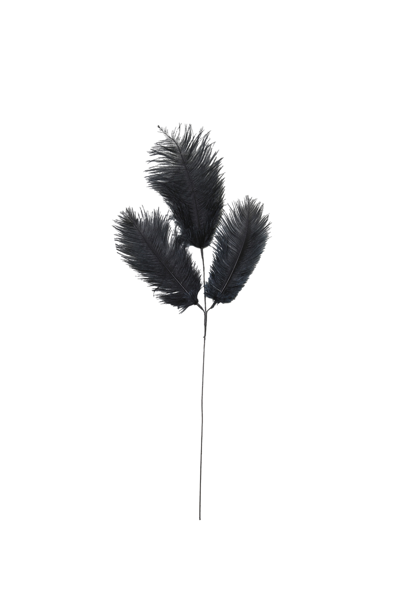 Ornament 3 feathers 30x59 cm FEATHER black