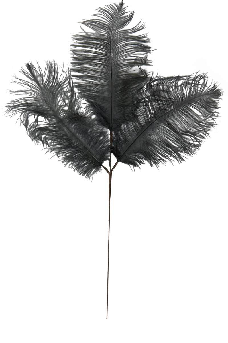 Ornament 3 feathers 30x59 cm FEATHER dark grey