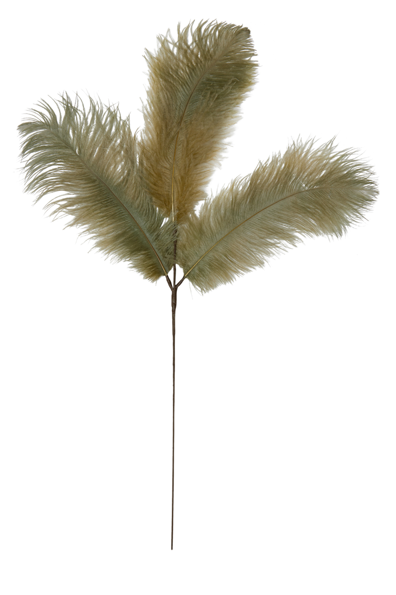 Ornament 3 feathers 30x59 cm FEATHER green-brown