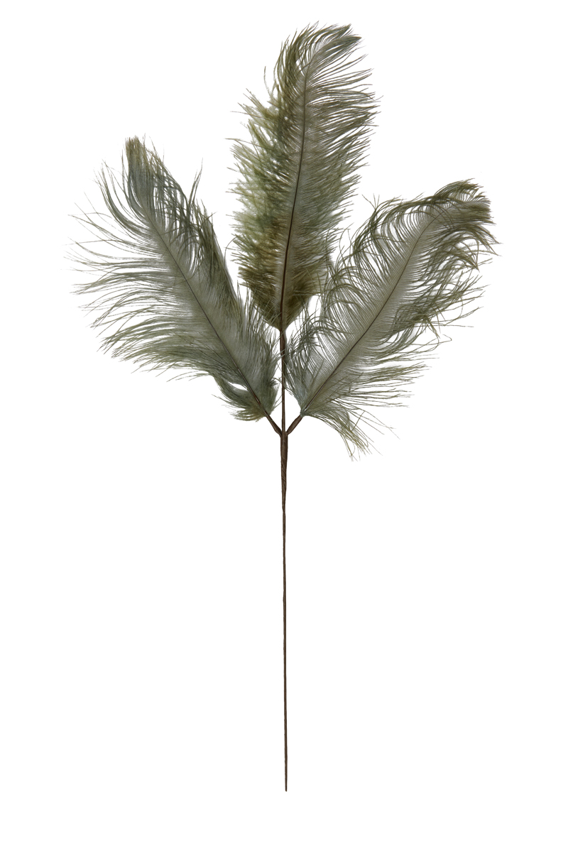 Ornament 3 feathers 30x59 cm FEATHER grey-green