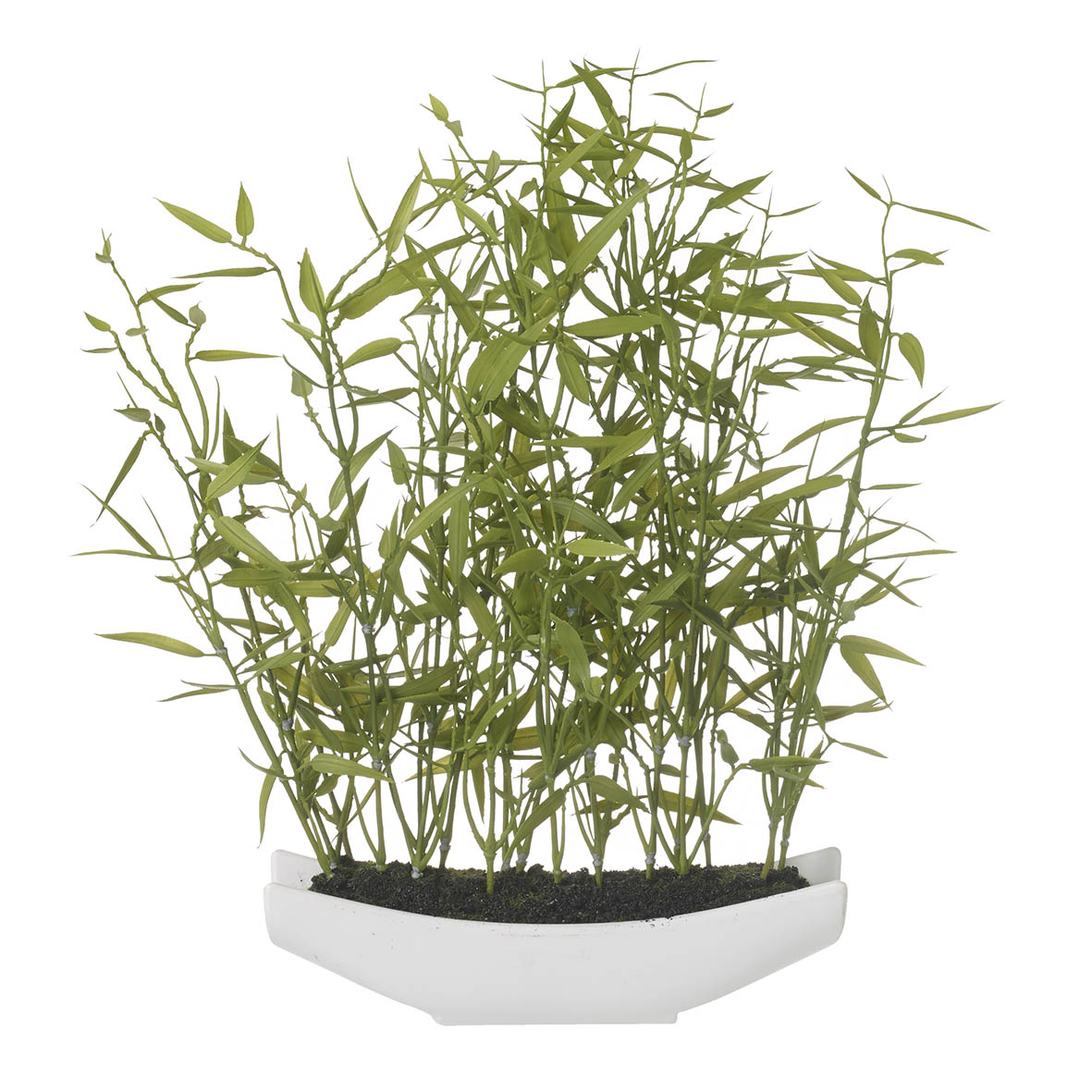 Potted plant 30x20x32 cm BAMBOO green/white