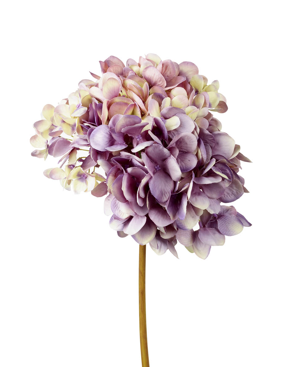 HYDRANGEA STEM H665MM LILAC/CREAM