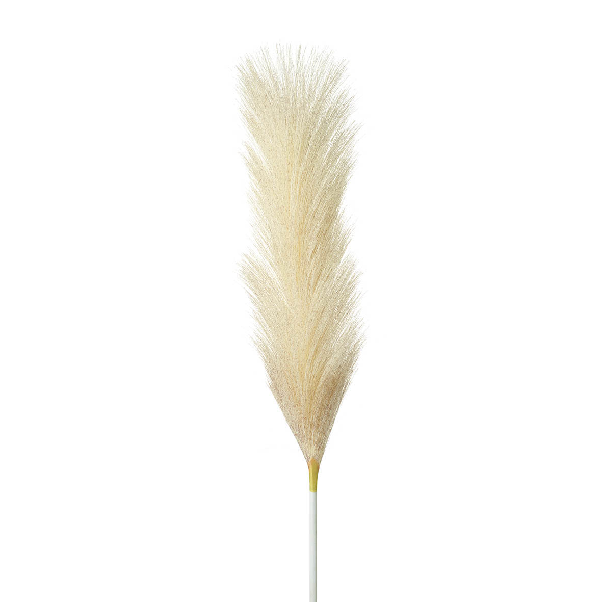 Flower stem 8x8x72 cm FEATHER GRASS ivory/blush