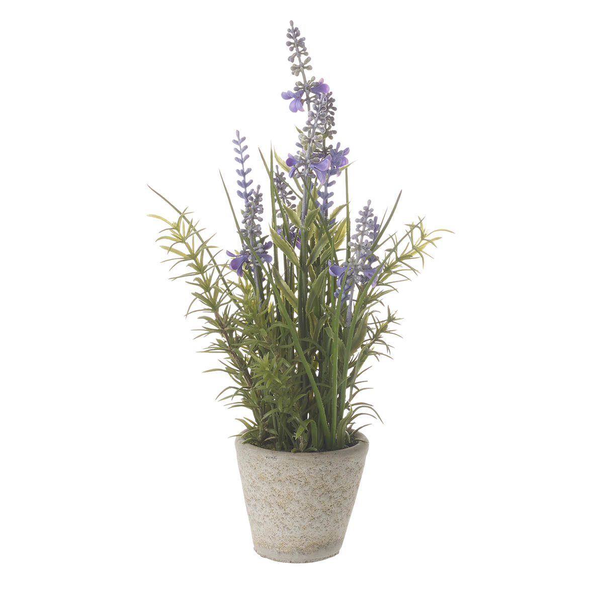 Potted plant 13x13x30 cm LAVENDER purple/grey