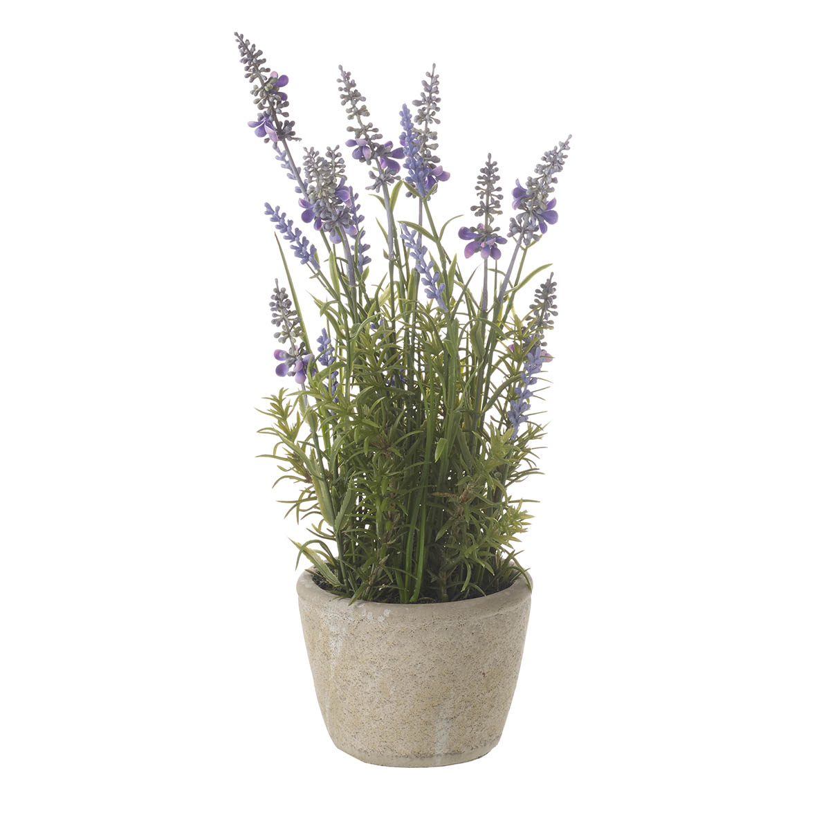 Potted plant 15x15x38 cm LAVENDER purple/grey