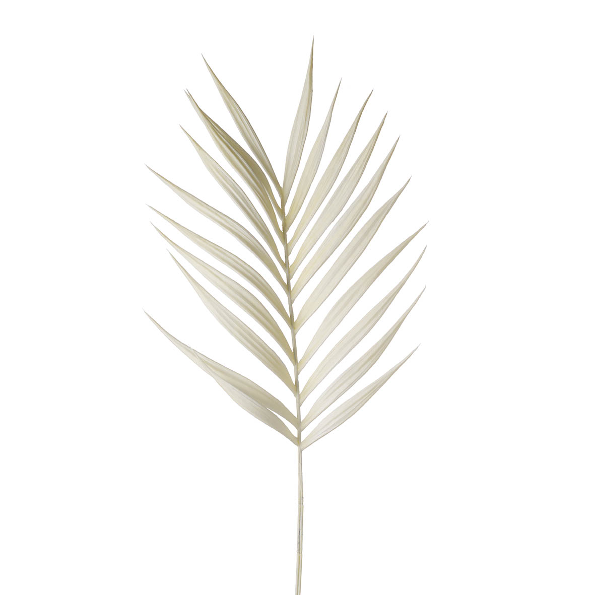 Flower stem 25x5x97 cm VINE FERN ivory