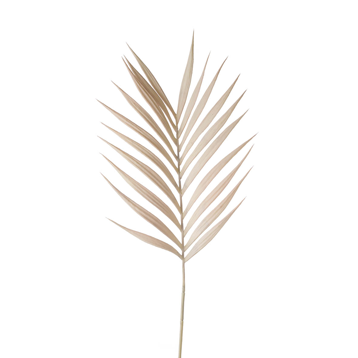 Flower stem 25x5x97 cm VINE FERN peach