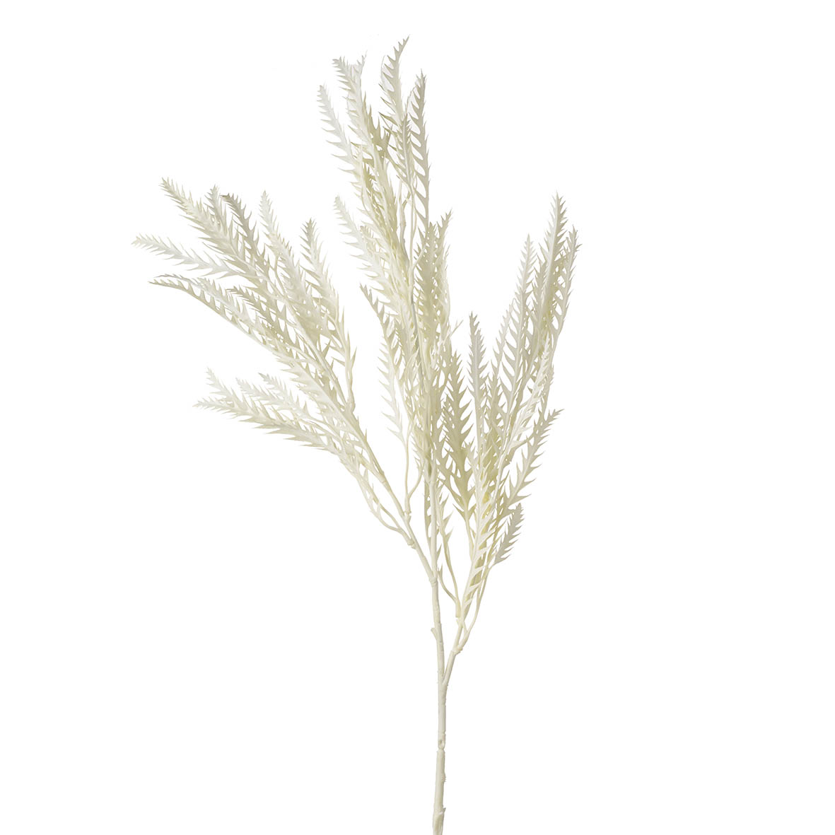 Flower stem 40x10x102 cm FERN ivory