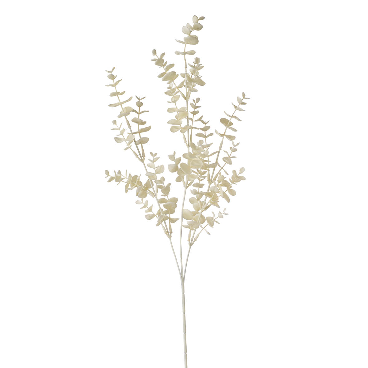 Flower stem 20x10x75 cm EUCALYPTUS cream