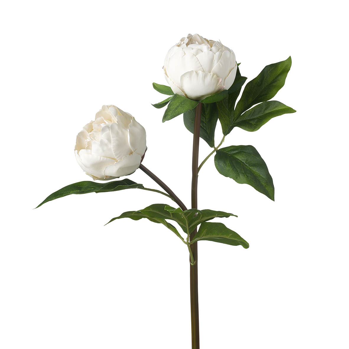 Stem 14x8x56 cm REAL TOUCH PEONY peach